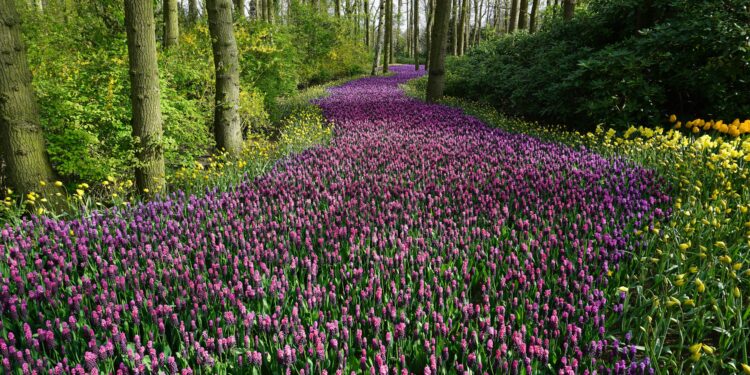 A Gentle Call to Garden Renewal