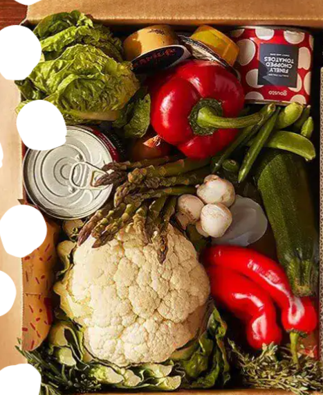 Styleventures Your Guide to Exclusive Meal Kit Deals